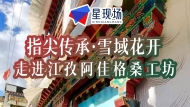 指尖传承·雪域花开——港澳台媒体走进西藏自治区江孜县阿佳格桑工坊