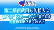 第二届西藏国际传播大会专题论坛：“破‘壁’之道——跨文化共情叙事与传播策略创新”论坛